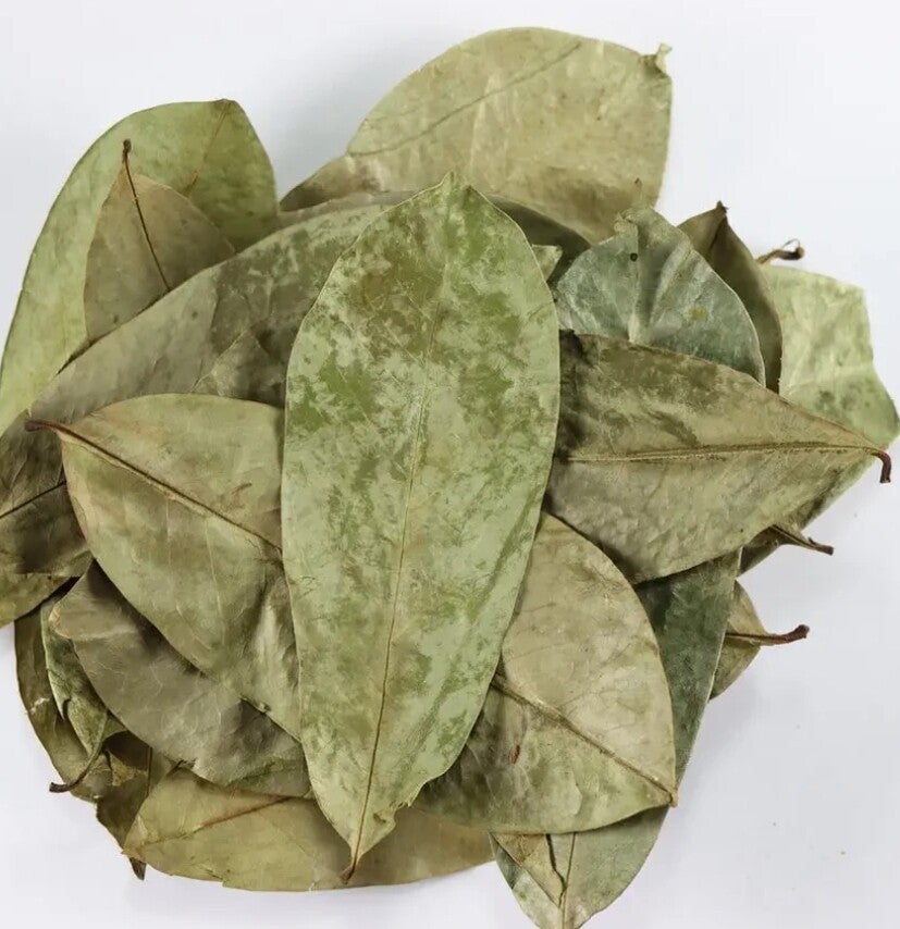 Soursop Leaves