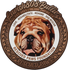 Lavish 808 Bulliez Rescued Paws