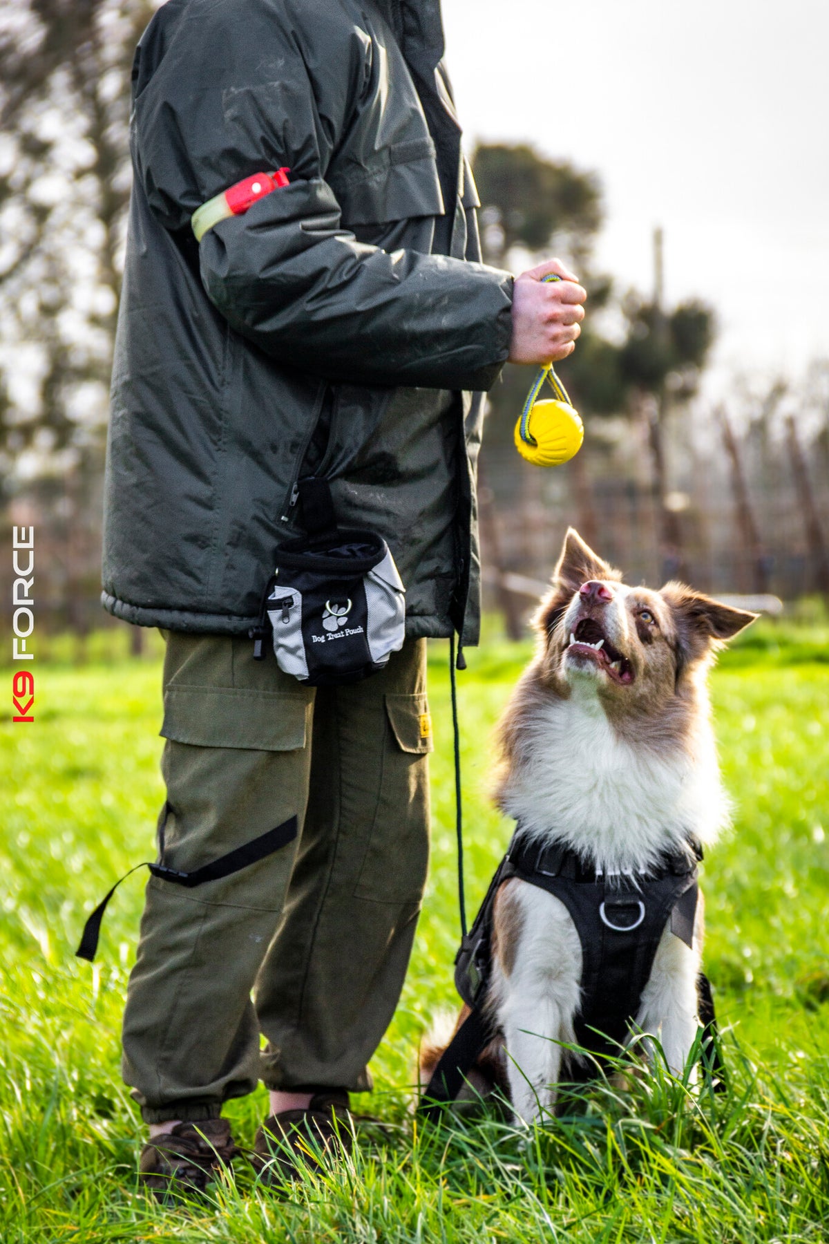 Trainingsbal K9 Force®