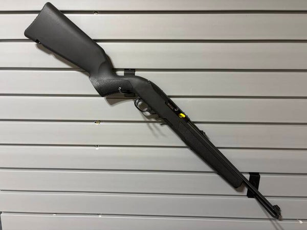 Ruger 10/22 (22LR)