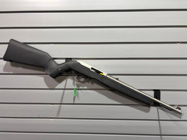 Ruger 10/22 SS (22LR)