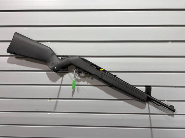 Ruger 10/22 (22LR)