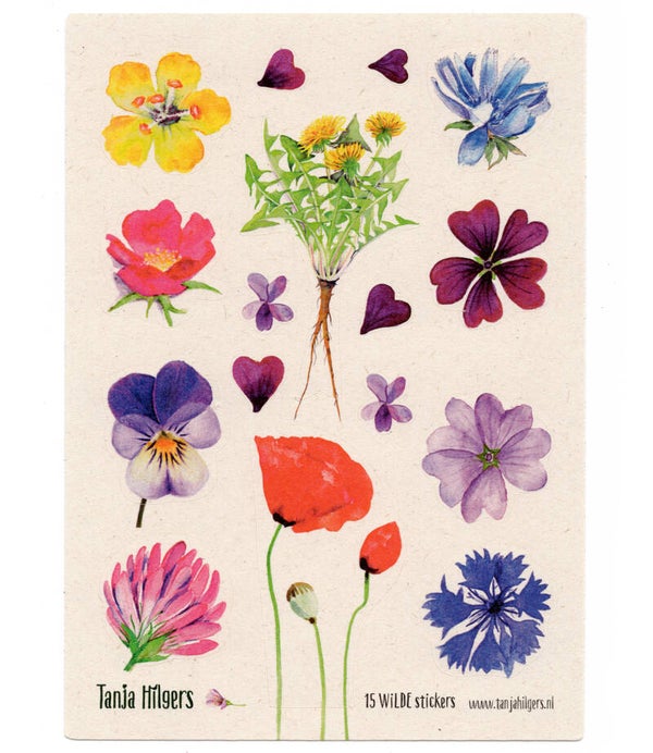 Stickervel "Botanisch"
