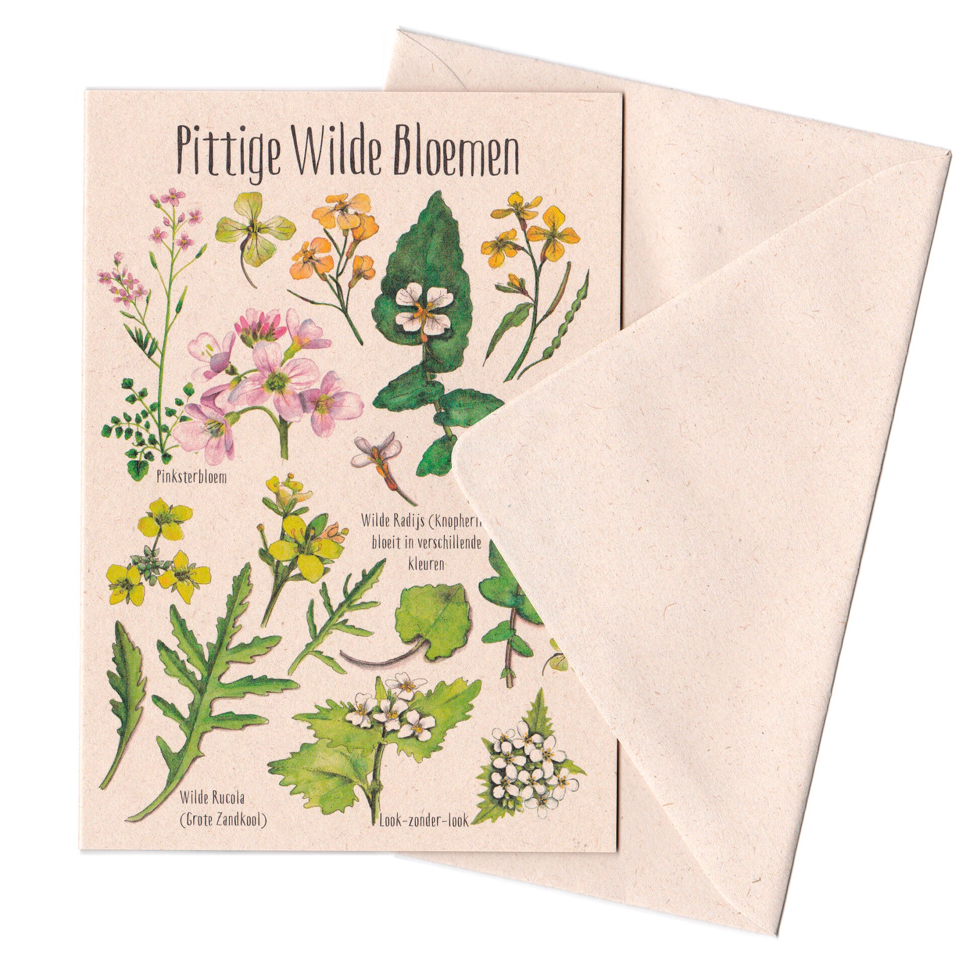Dubbele Wenskaart "Pittige Wilde Bloemen"