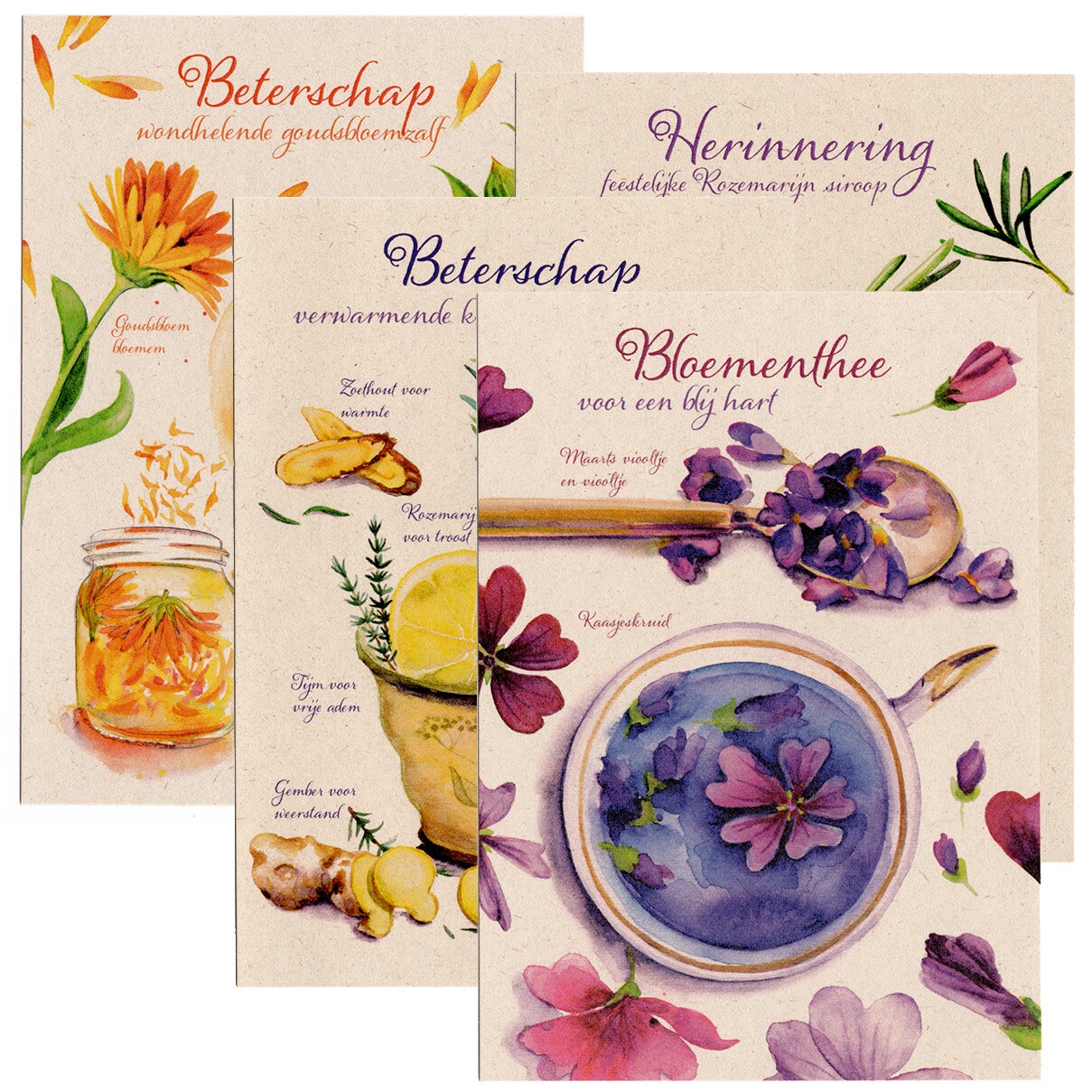 4 Postkaarten "Bloemen & Kruiden"