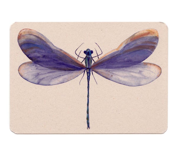 Postkaart Berkeljuffer WATER