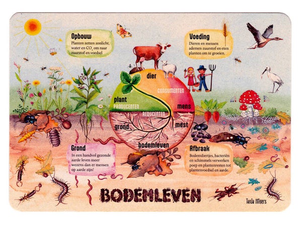Postkaart Bodemleven