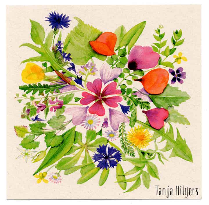 Postkaart Wildpluk Mandala vierkant