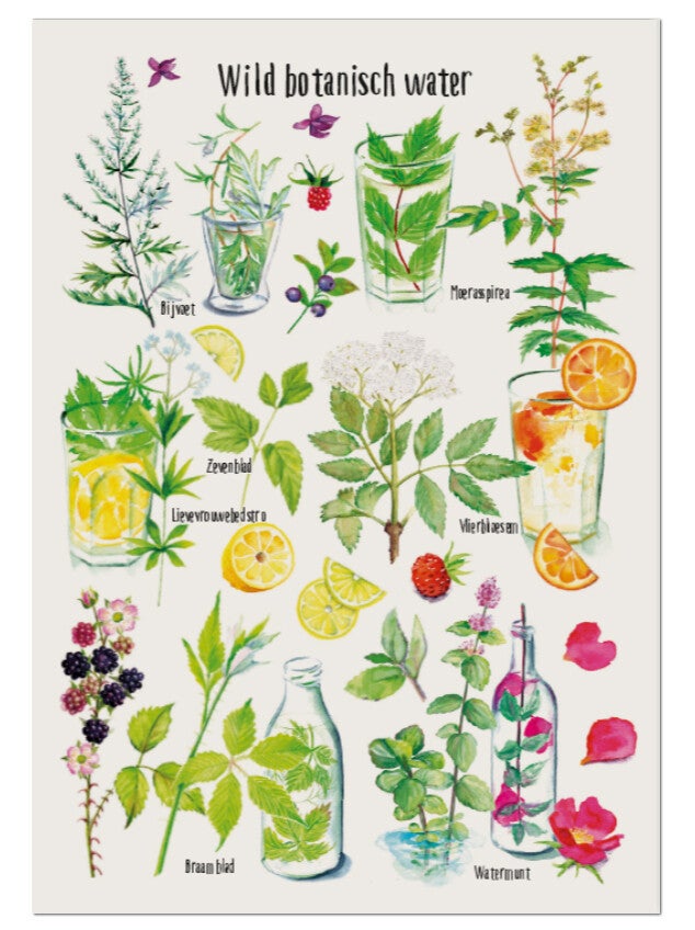 Postkaart "Wild botanisch water"