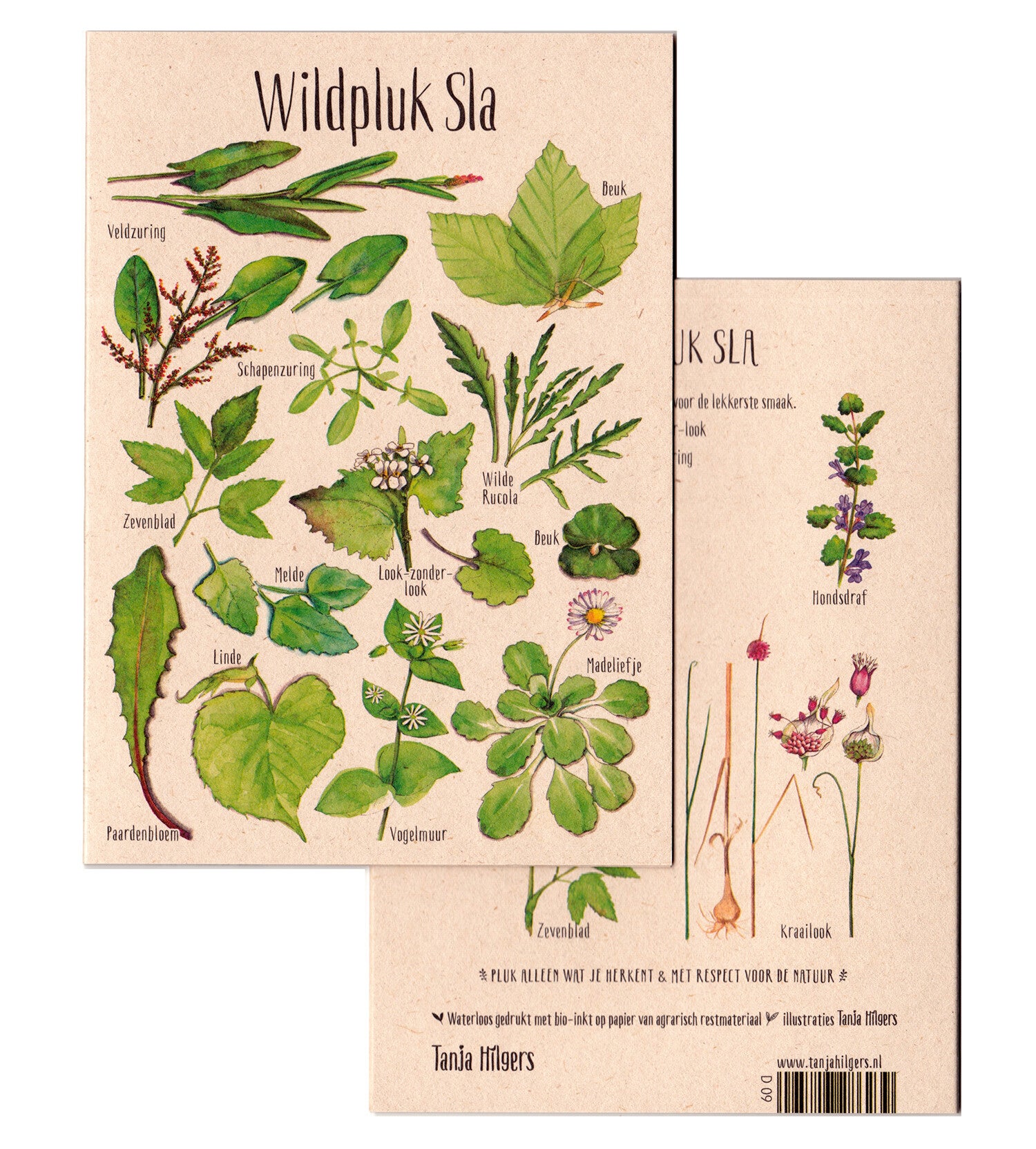Dubbele Wenskaart "Wildpluk Sla" zonder envelop