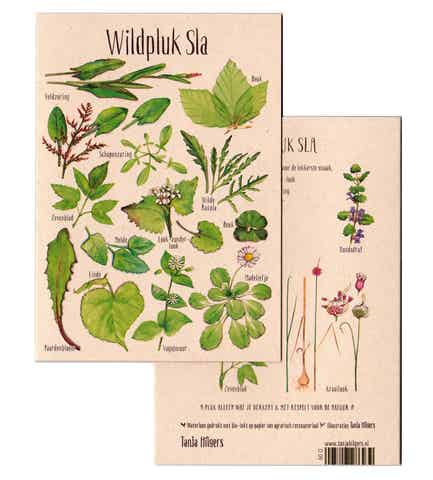 Dubbele Wenskaart "Wildpluk Sla" zonder envelop