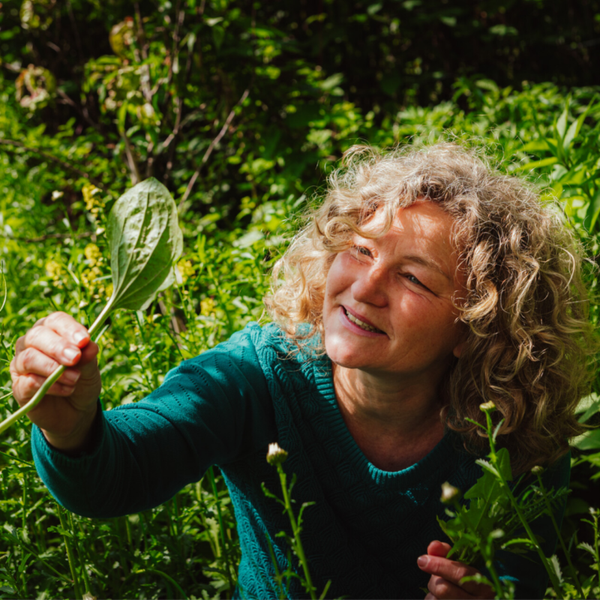 WILDE KRUIDEN NIEUWSBRIEF