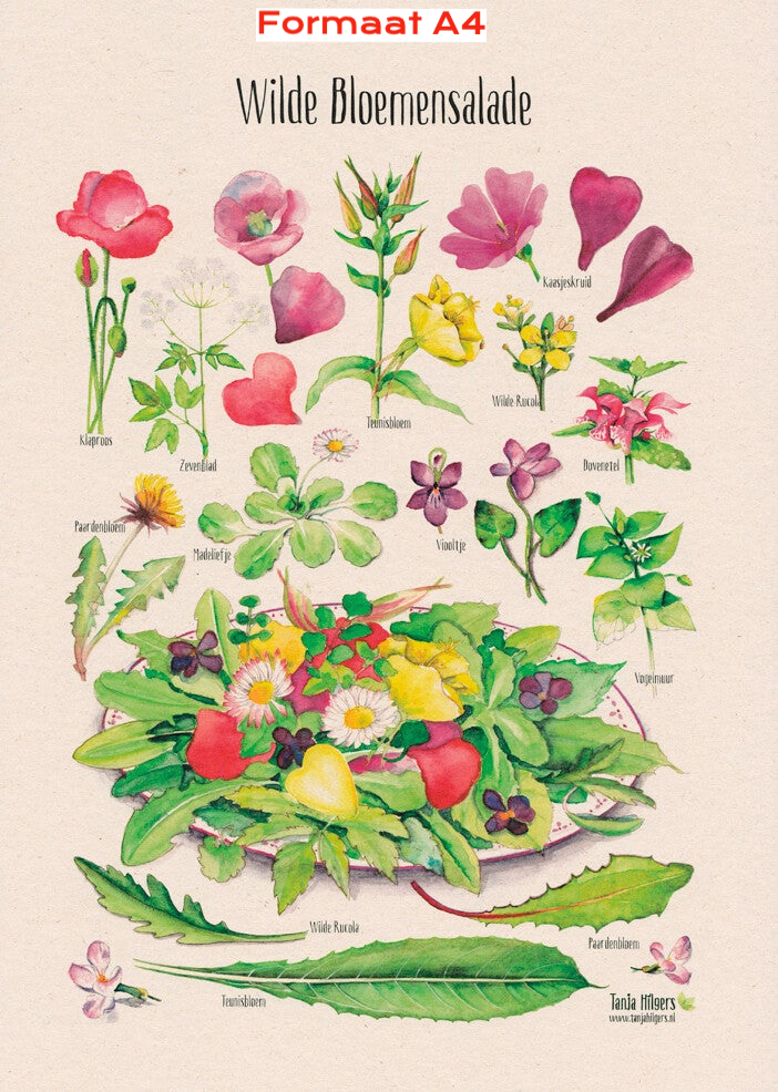 Poster A4 "Wilde Bloemensalade"