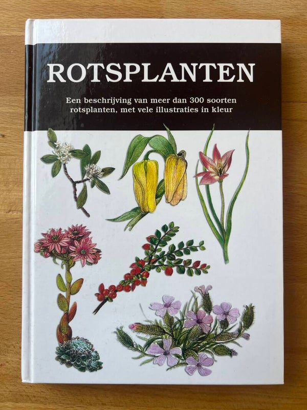 Rotsplanten