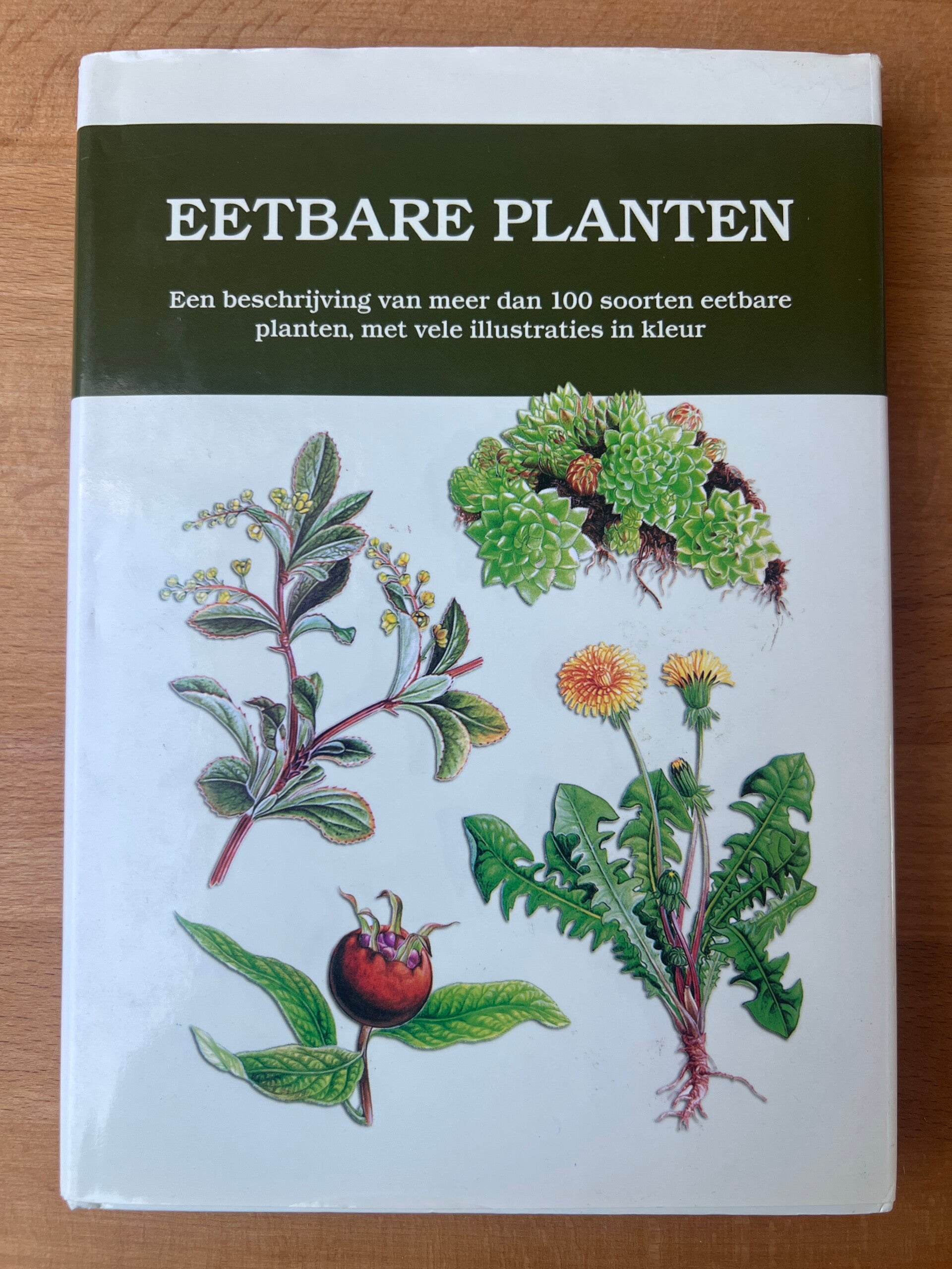 Eetbare Planten
