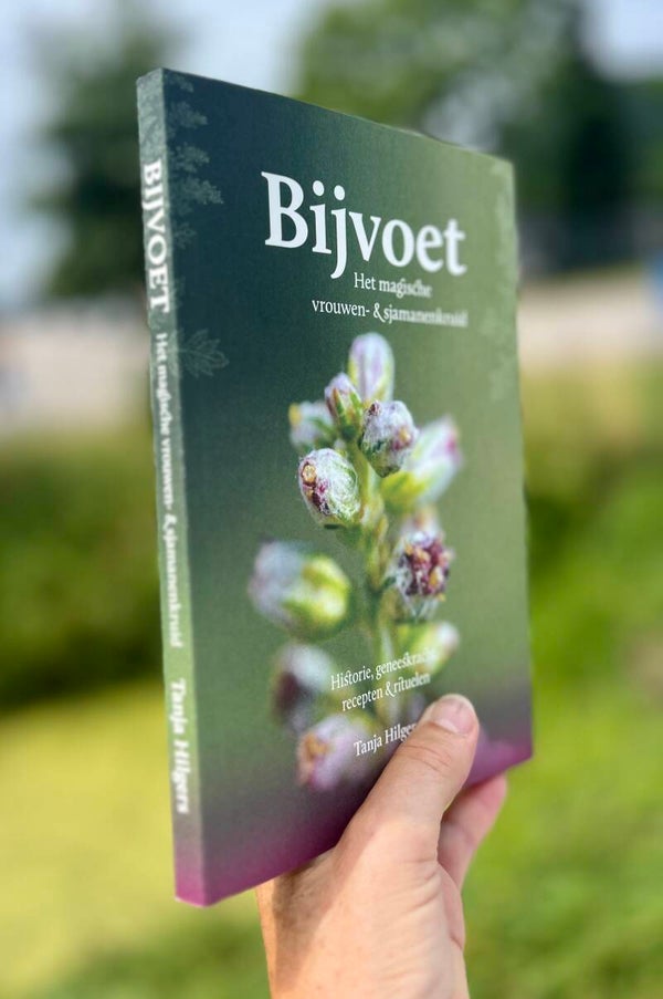 Bijvoet boek 2025