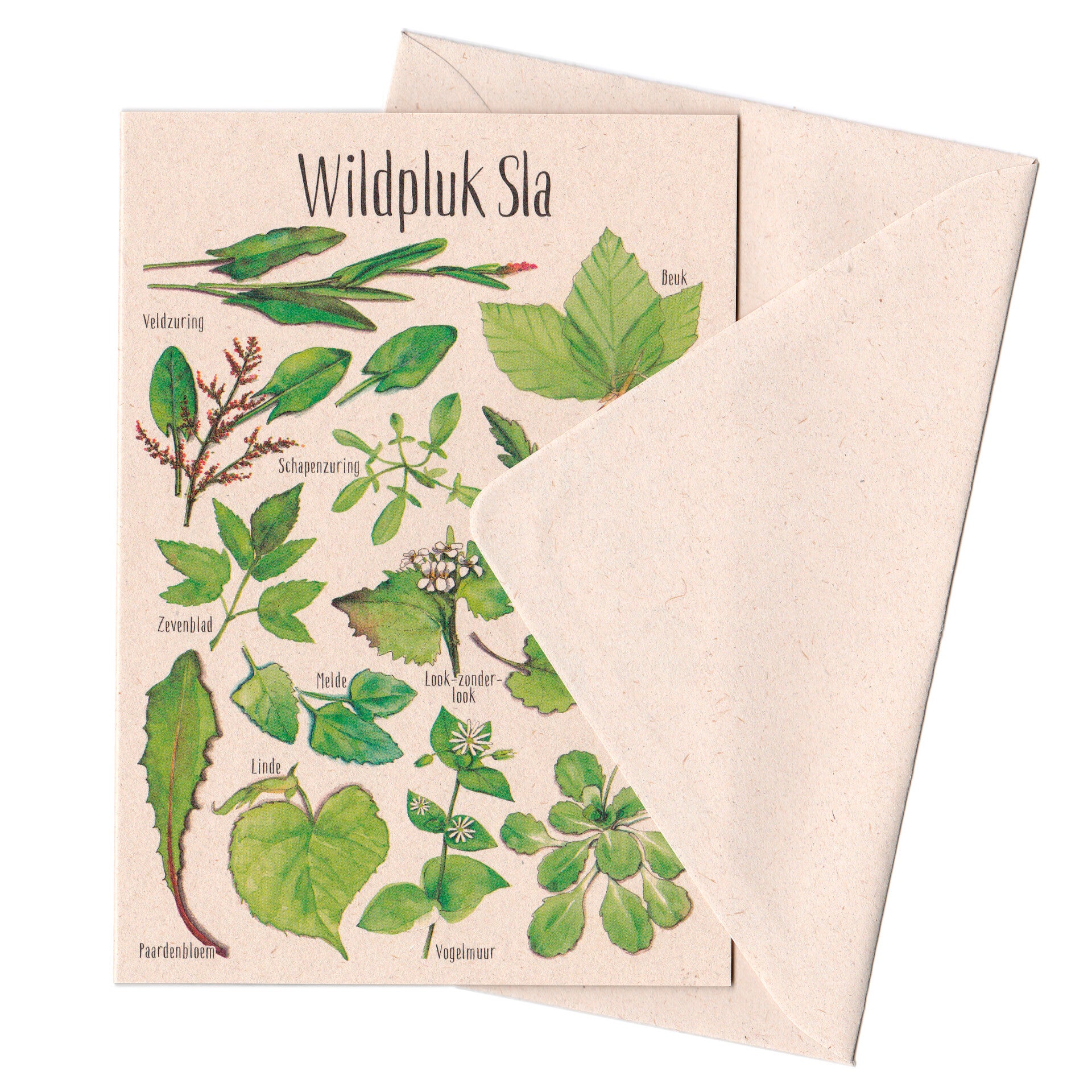 Dubbele Wenskaart "Wildpluk Sla"