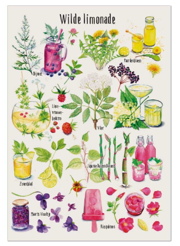Postkaart "Wilde limonade"