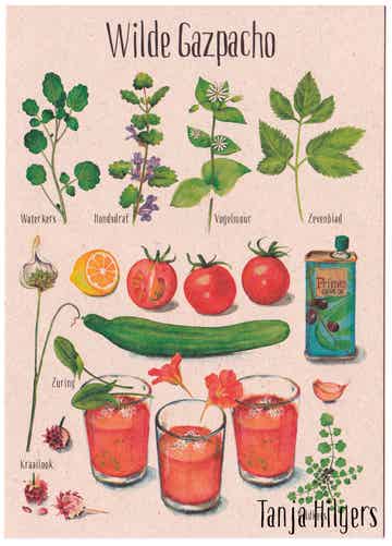 Postkaart "Wilde Gazpacho"