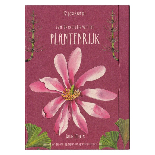 Set 10 Postkaarten Plantenrijk