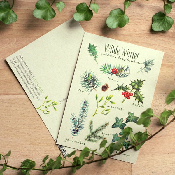 Postkaart "Wilde Winter" - rechte hoeken