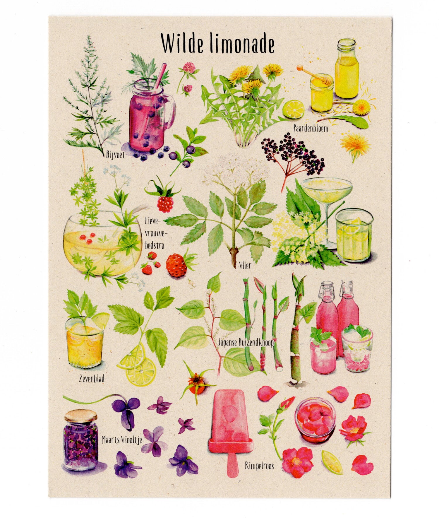 Postkaart "Wilde limonade"