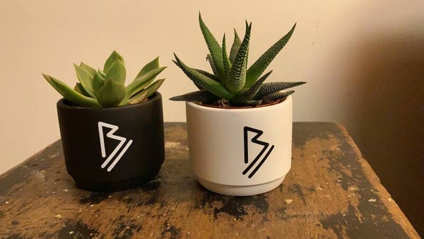Bloempotjes duo zwart-wit