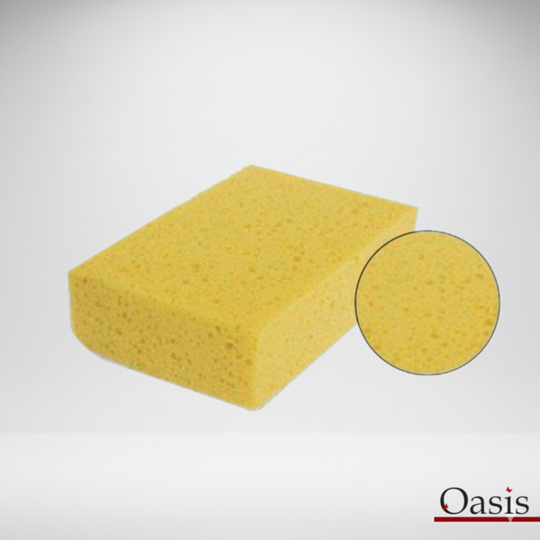 Esponja Auto Natural