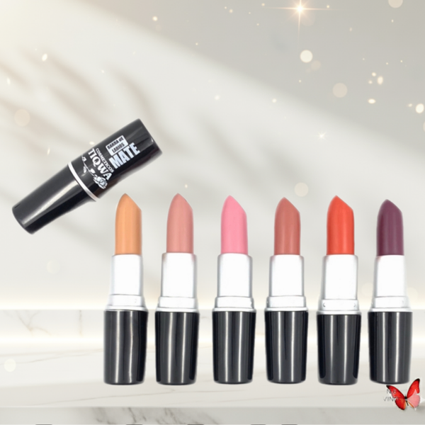 Barra de Labios Mate TIQWA – Alta Pigmentación y Larga Duración (Varios Colores)