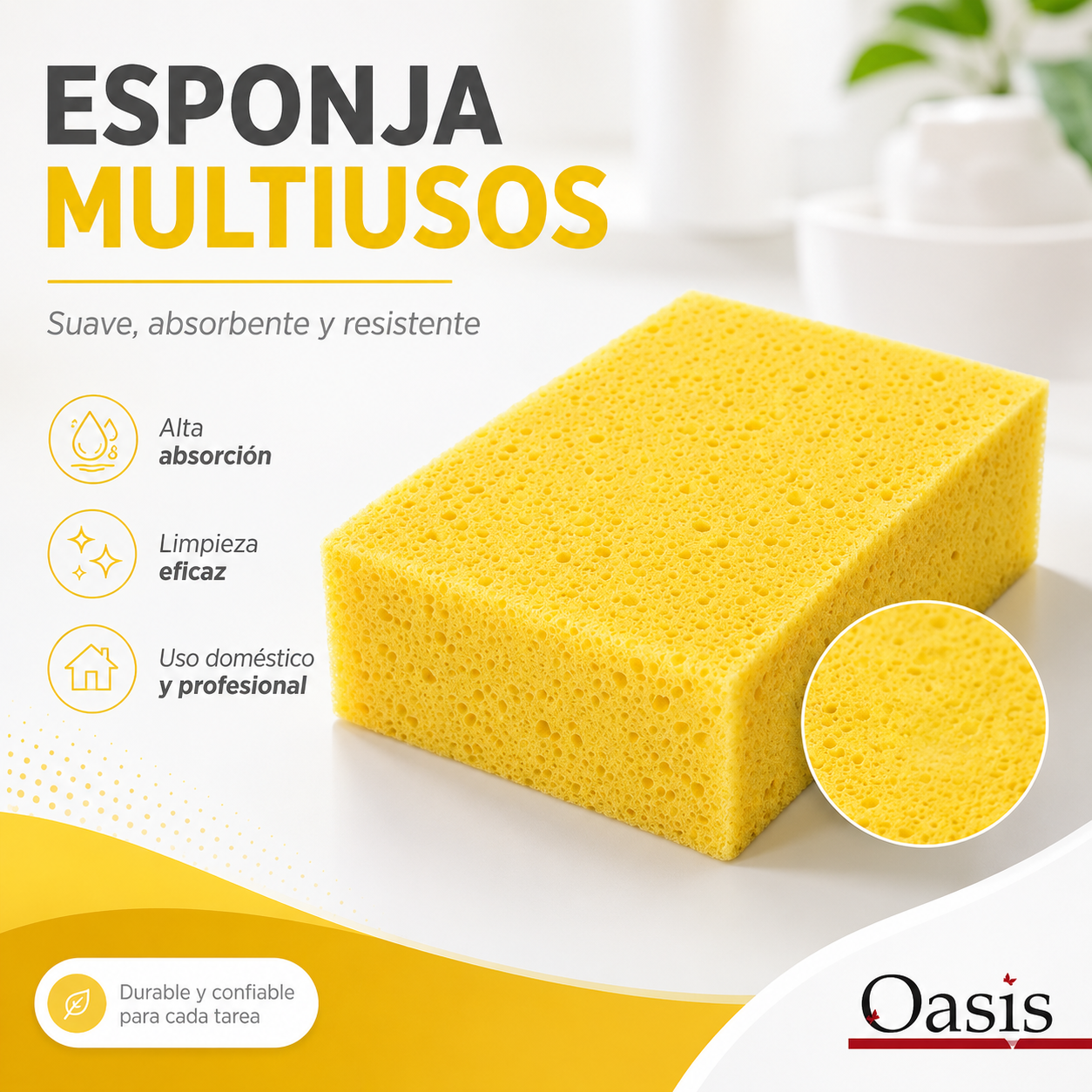 Esponja Auto Natural