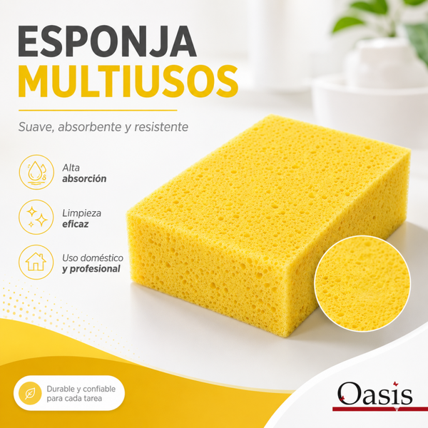 Esponja Auto Natural
