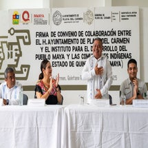 5a332a24-c66d-449a-99ee-5cef86918f85-standard.jpg