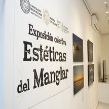 5d34de1b-5e33-41d0-88c8-a6da98149343-standard.jpg