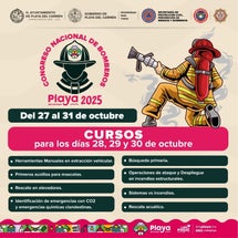 cfe04207-34c6-4ffc-bf42-1d32f0d4d12a-standard.jpg