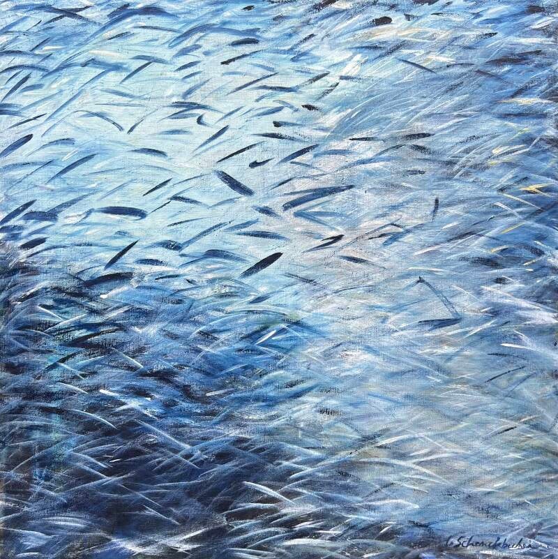 Murmuration 80x80 cm