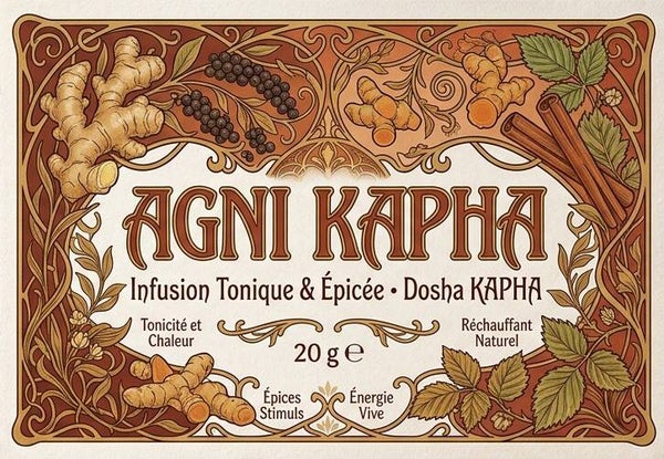 Equilibre Kapha bio