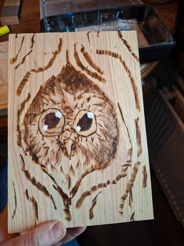 Gebrande houten plank met uil