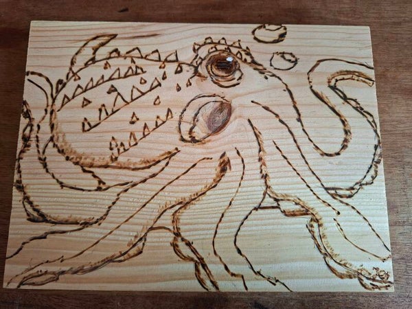 octopus/kraken gebrand