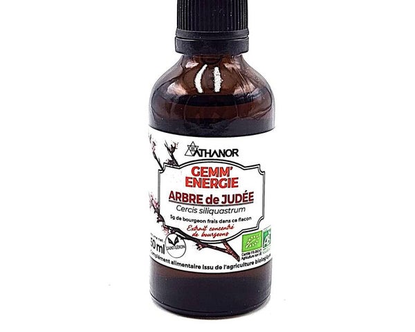 BOURGEON D'ARBRE DE JUDEE Bio 50 ml
