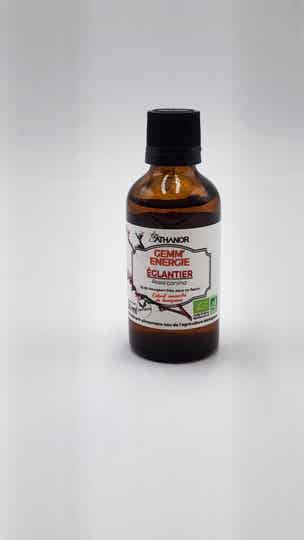 BOURGEON D'EGLANTIER Bio 50 ml