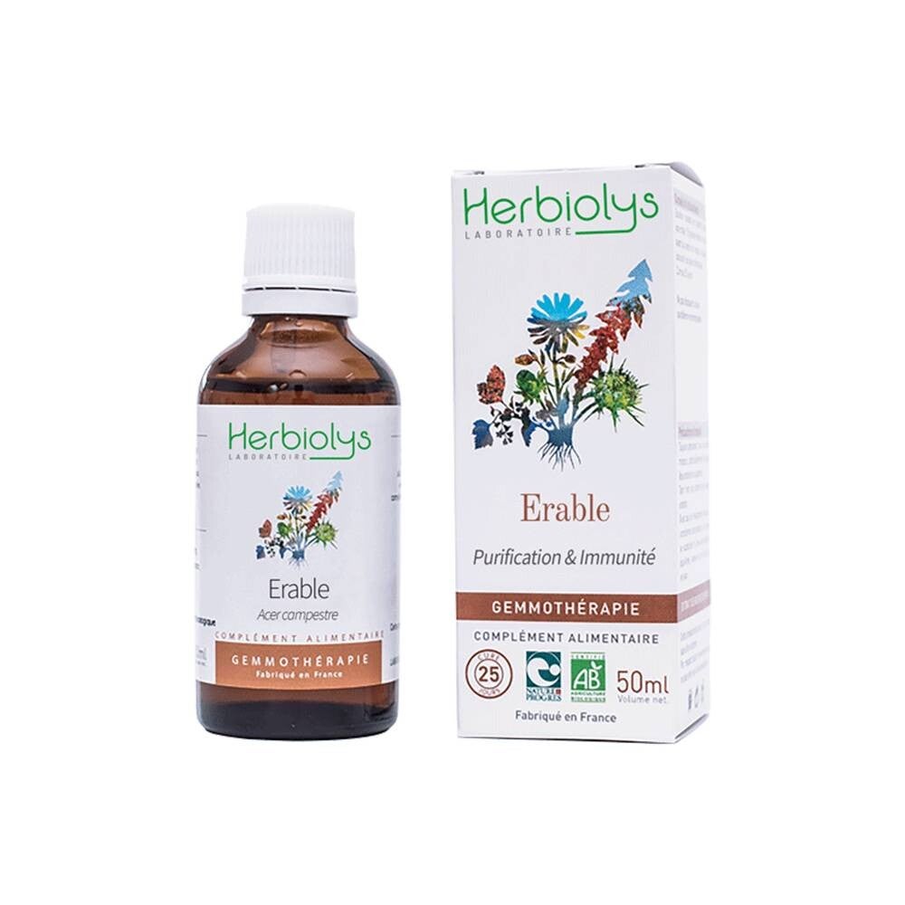 BOURGEON D'ERABLE CHAMPÊTRE Bio 50 ml