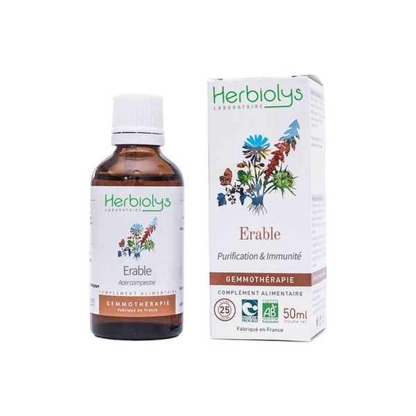 BOURGEON D'ORME Bio 50 ml