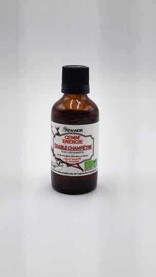 BOURGEON D'ERABLE CHAMPÊTRE Bio 50 ML