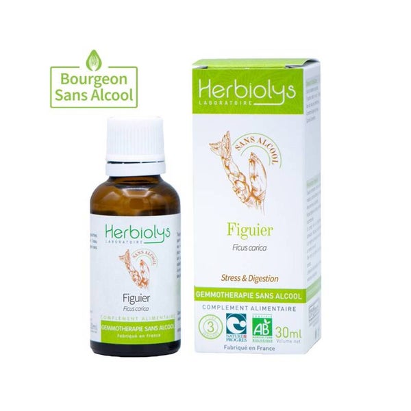 BOURGEON DE FIGUIER (sans alcool) Bio 30 ml