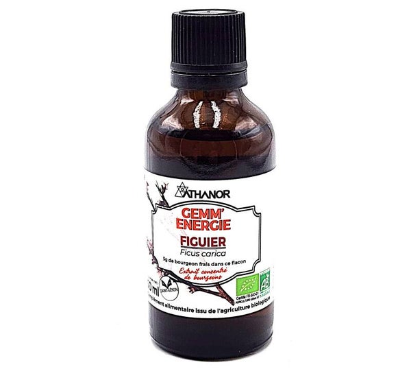 BOURGEON  FIGUIER Bio 50 ML