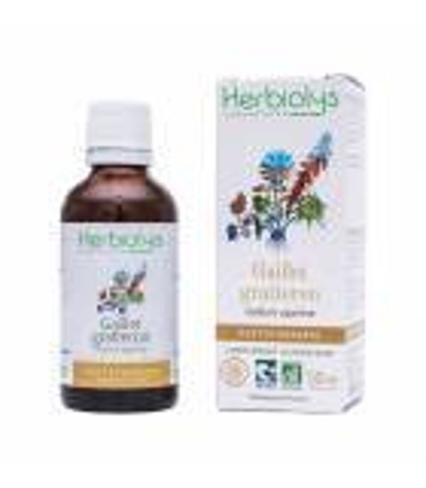 GAILLET GRATTERON - Extrait de plante fraîche Bio 50 ml