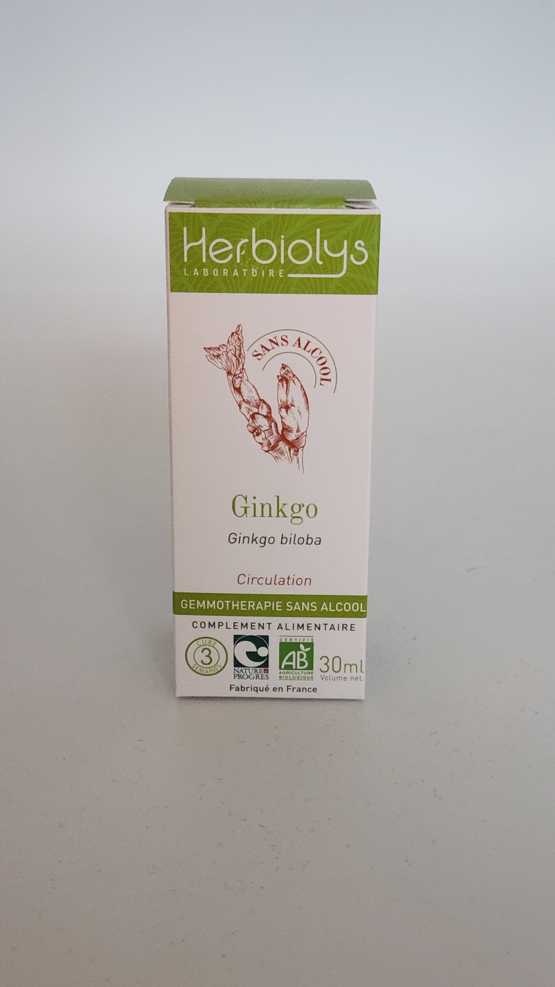 BOURGEON DE GINKGO BILOBA (sans alcool) Bio 50 ml