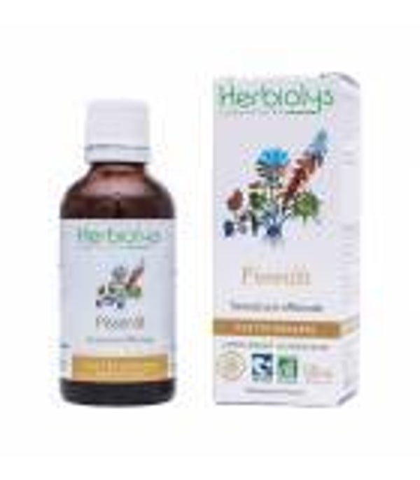 PISSENLIT - Extrait de plante fraîche Bio 50 ml