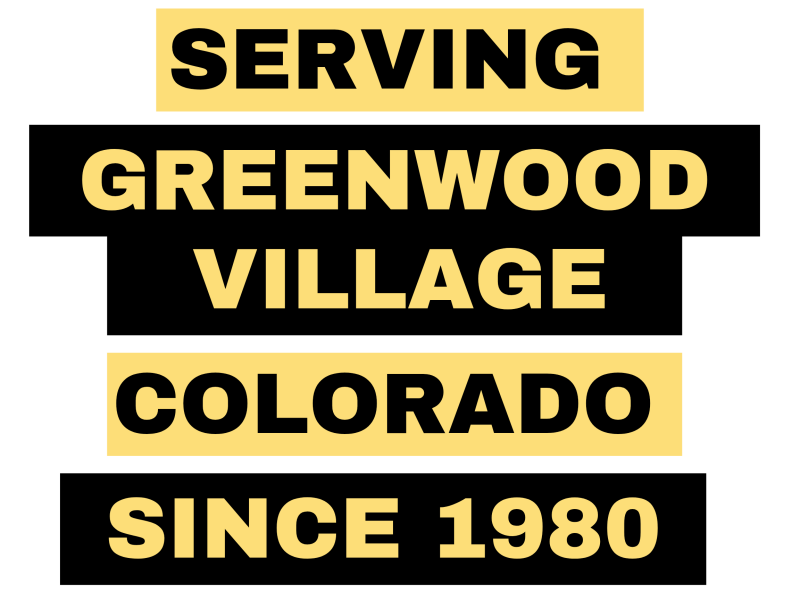 Greenwood Village Colorado's basement bathroom