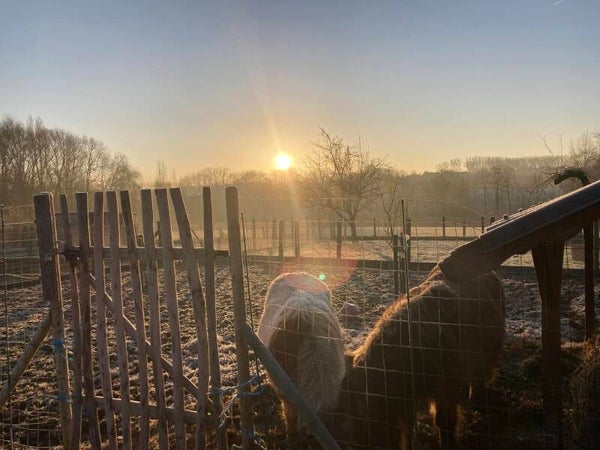 2 Daagse individuele retraite in de Vlaamse Ardennen
